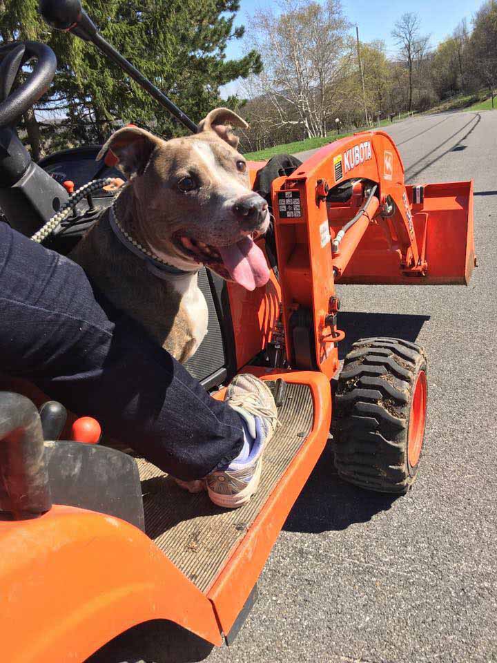 Seven riding on a tractor