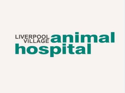 Screenshot 2025-06-07 at 20-17-23 Homepage Liverpool Village Animal Hospital
