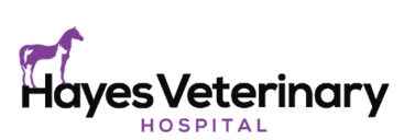 Screenshot 2025-06-07 at 20-53-18 Veterinary Care in DeRidder & Leesville LA Hayes Veterinary Hospital & Entrance Road Veterinary Clinic