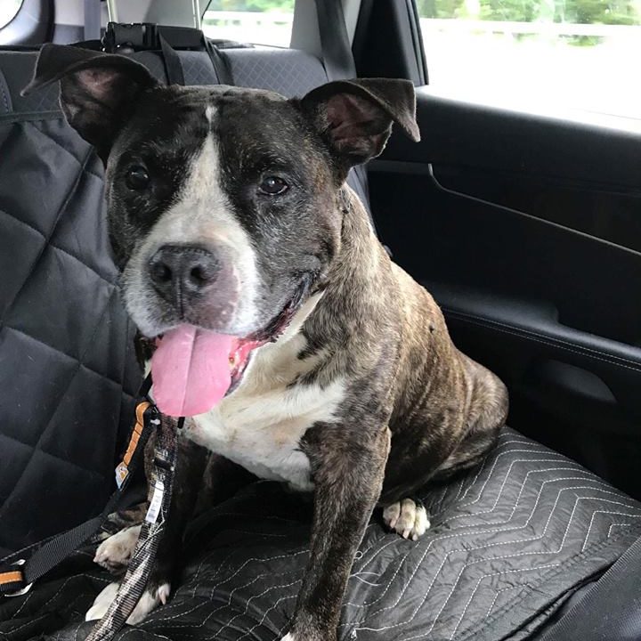 Picture of Ben sitting in the car